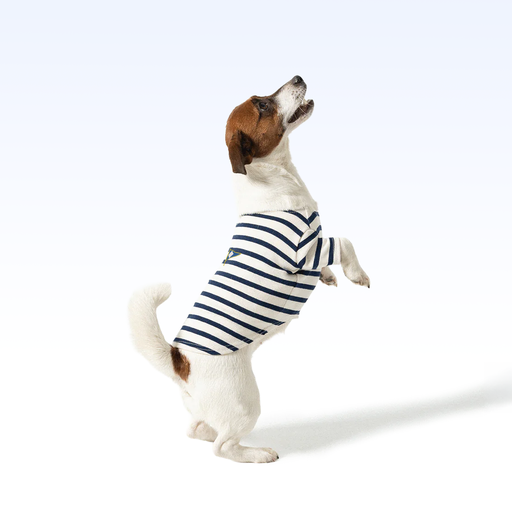 FIYC_PARISIAN PUP SHIRT